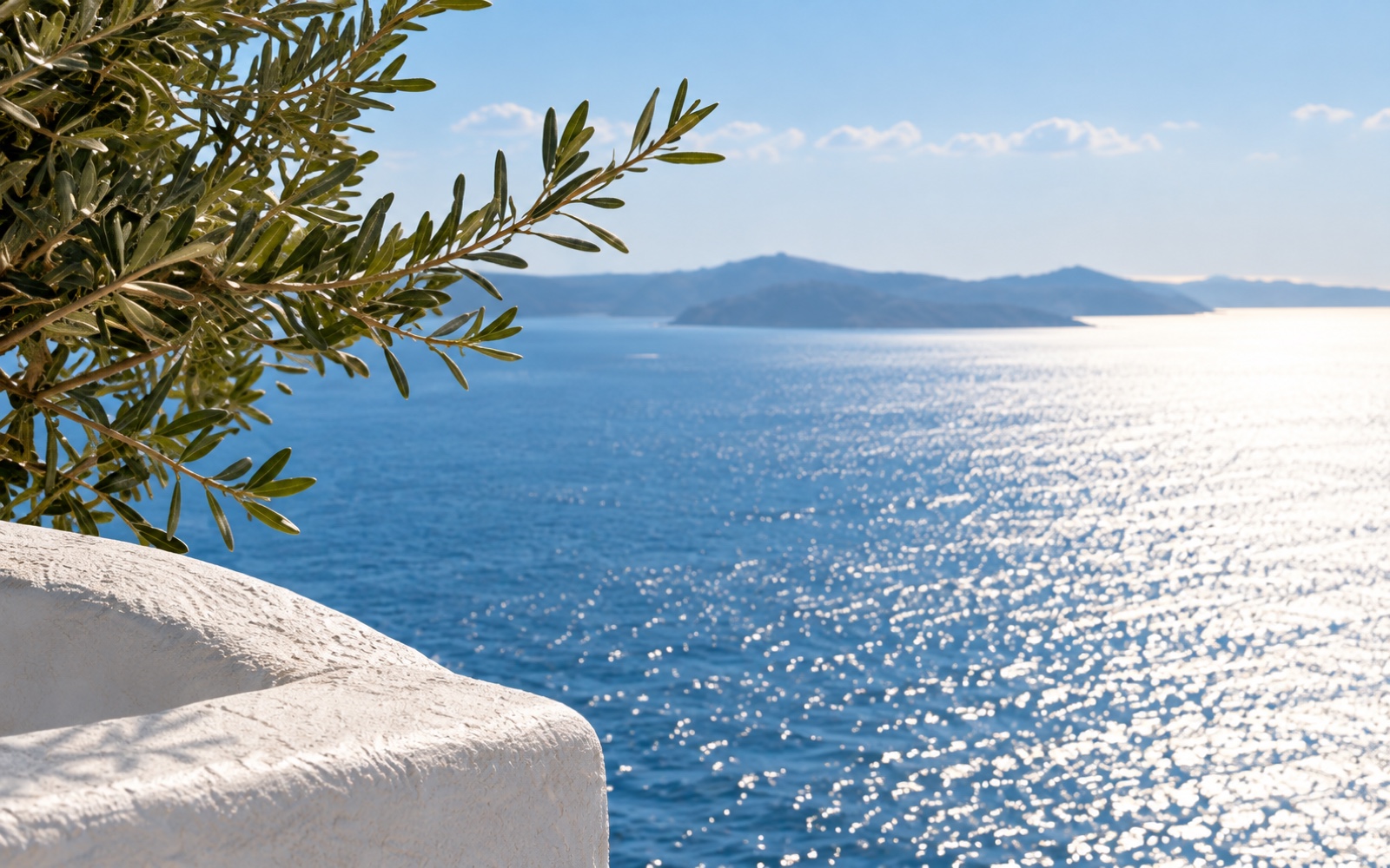 Demonstration image of olive branches, a white parapet and sunlit sea.
